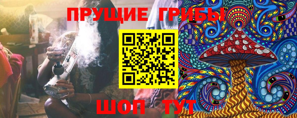 Фролово  Псилоцибиновые грибы мицелий  Вход с VPN 