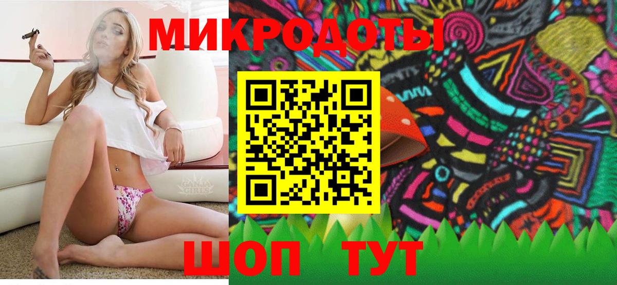 Псилоцибиновые грибы Psilocybine cubensis Фролово